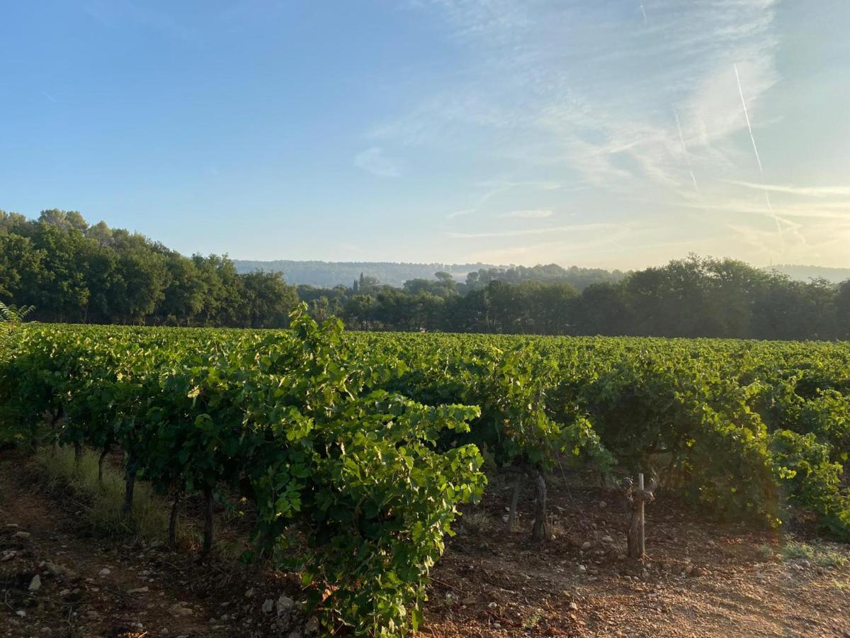 Bed and Breakfast L'Eveil En Provence Entrecasteaux Екстер'єр фото