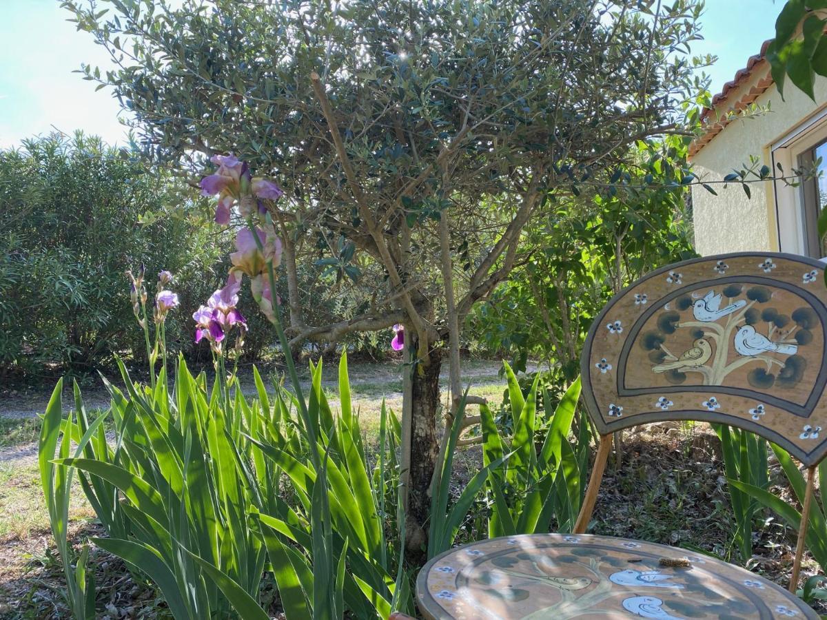 Bed and Breakfast L'Eveil En Provence Entrecasteaux Екстер'єр фото